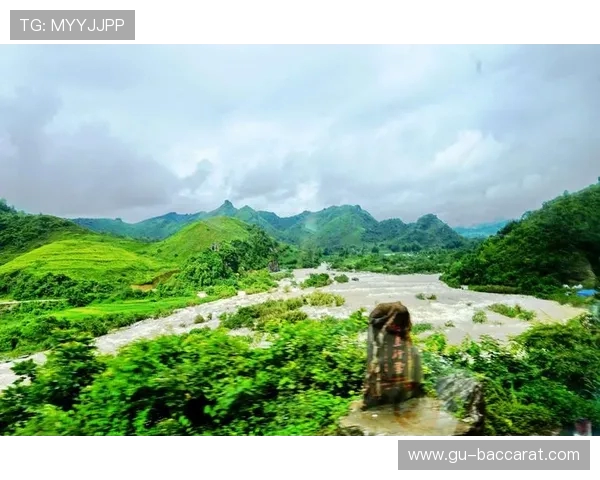 《权谋风云：穿越宫廷争斗之现代选择与命运之战》